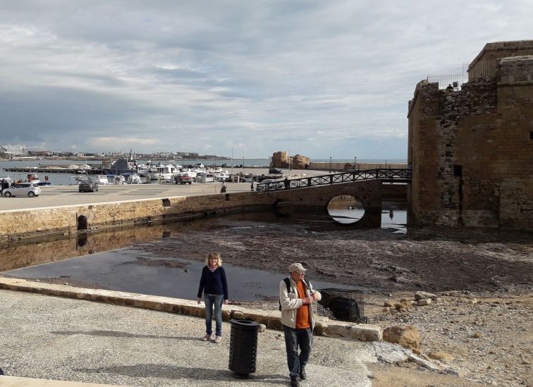 Файл:20190119 (10).jpg