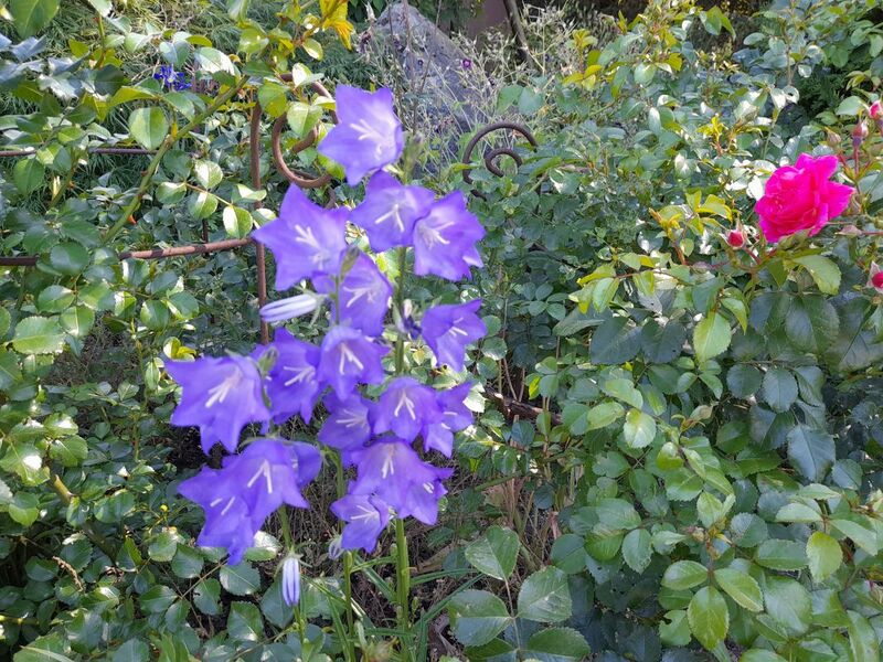 Файл:20220530 163152.jpg