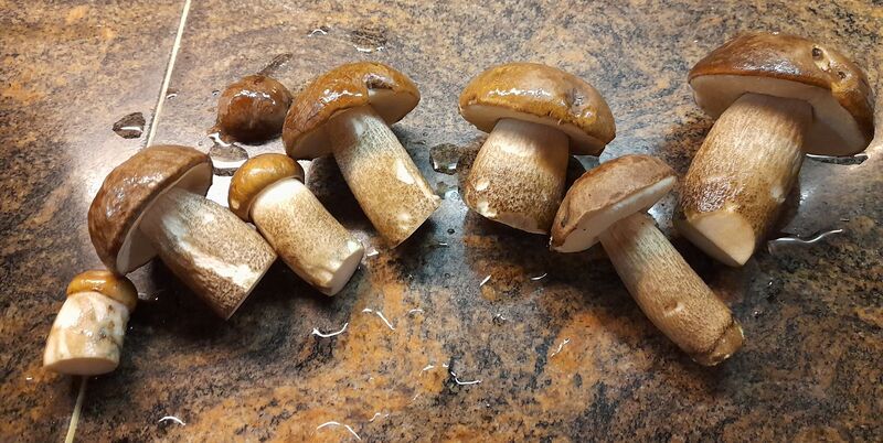 Файл:20220928 212151.jpg