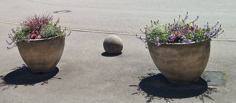 Файл:IMG 20220702 133923 3.jpg