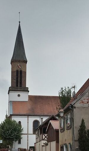 IMG 20220827 155605 3.jpg