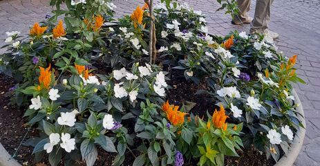 IMG 20220716 163935.jpg