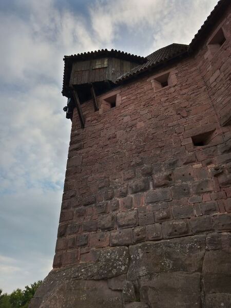 Файл:IMG 20220827 190640 3.jpg