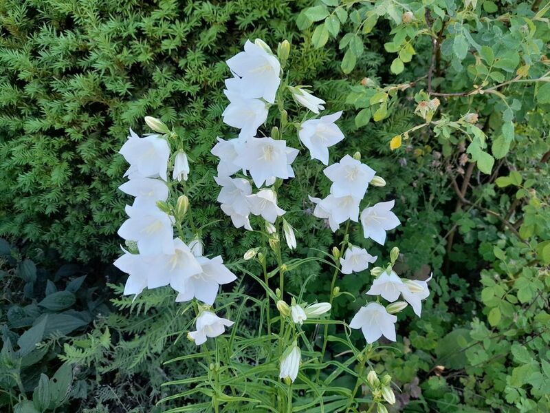 Файл:20220530 163135.jpg