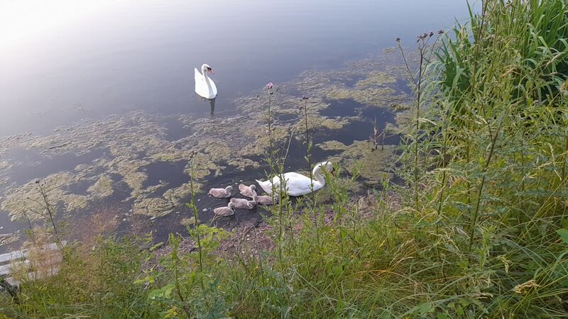 Файл:20250616 211833.jpg