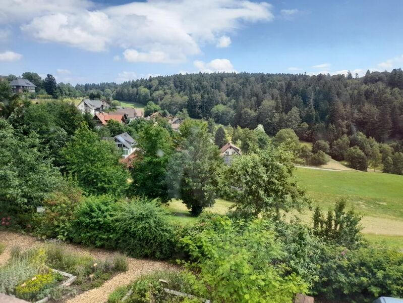 Файл:Ходирєви — Занкт-Мерген 16.jpg