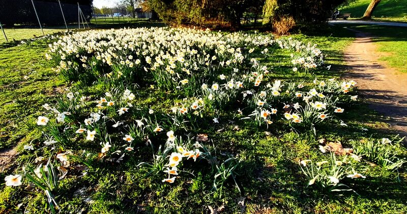 Файл:20230405 184121.jpg