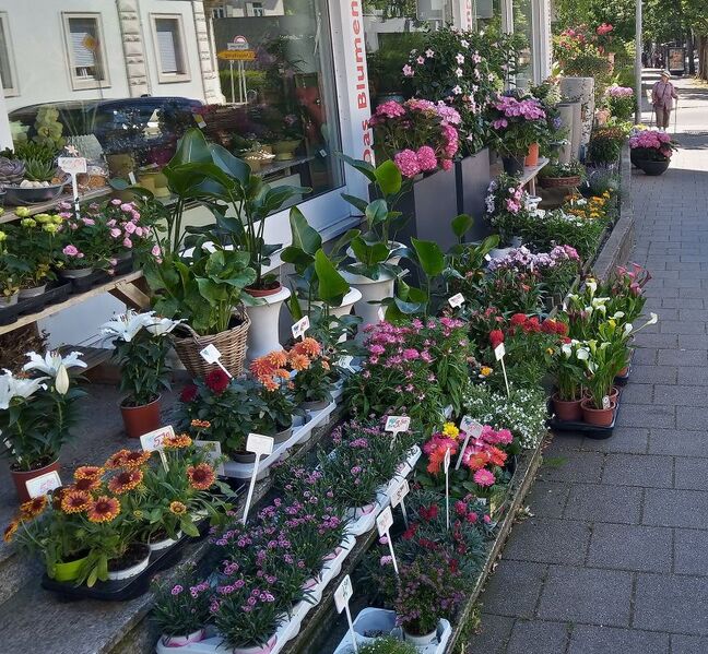 Файл:IMG 20220716 152252 3.jpg