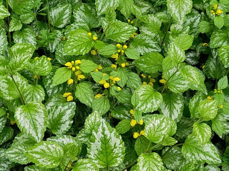 Файл:20230430 135519.jpg