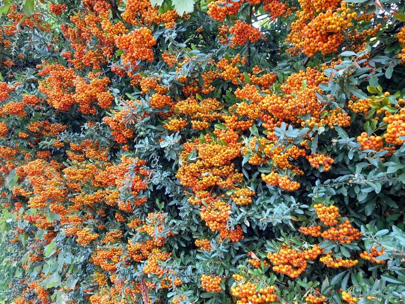 Файл:20220917 145130.jpg