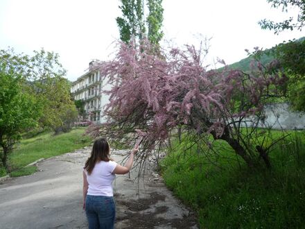 Объект 221 P1020936.JPG