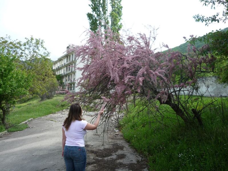 Файл:Объект 221 P1020936.JPG