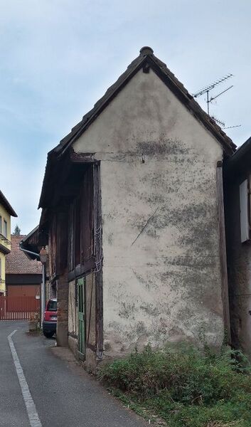 Файл:IMG 20220827 160202 3.jpg