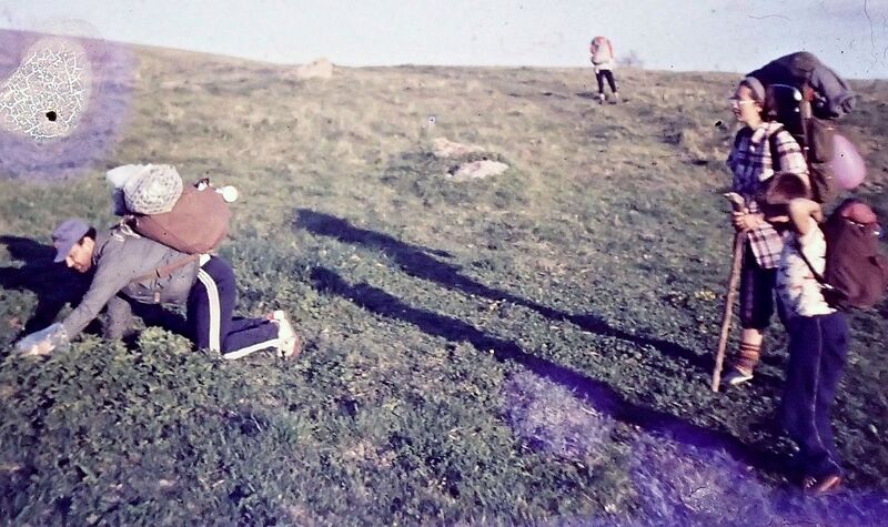 Файл:199005 (7).jpg