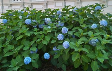 IMG 20220716 152120 3.jpg