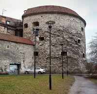 Толстая Мэри.jpg