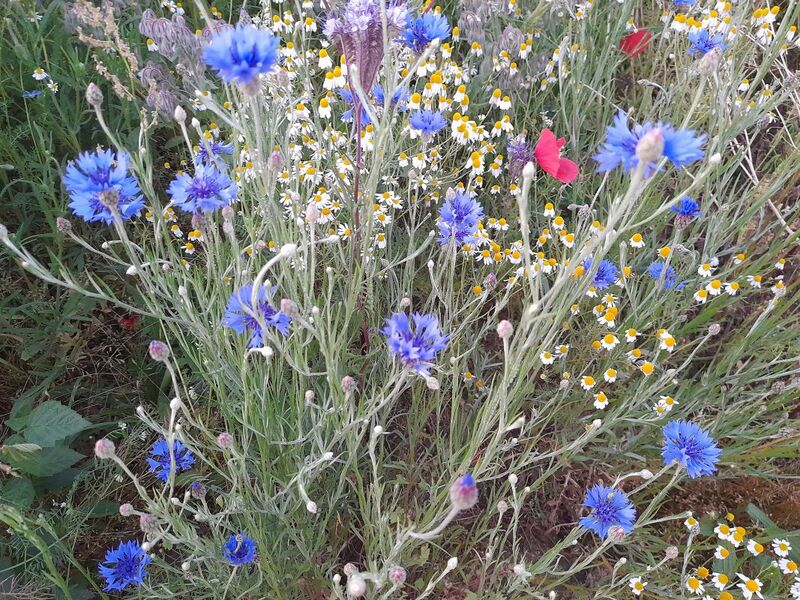 Файл:20220513 210058.jpg