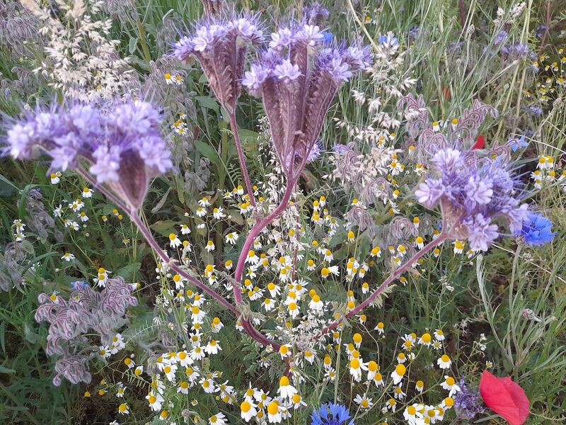 Файл:20220513 210104.jpg