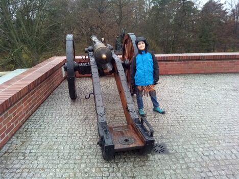 А чи не з цієї гармати палив по ворогу Заглоба