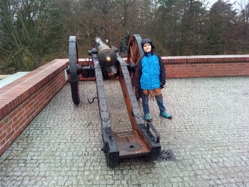 А чи не з цієї гармати палив по ворогу Заглоба