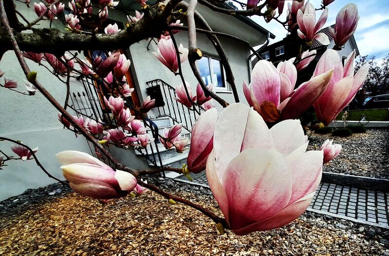 Файл:20230319 134203.jpg